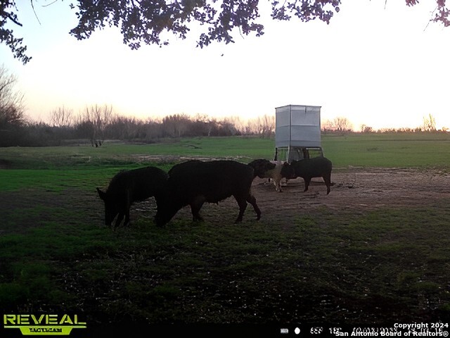 7507 New Sulphur Springs Road San Antonio TX 78263