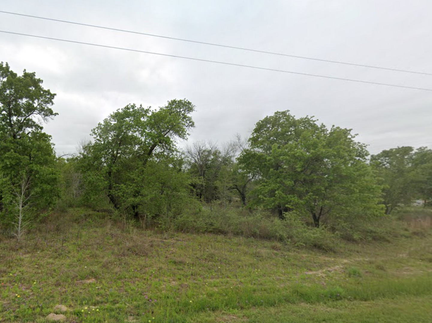 139 Red Fox Poteet TX 78065
