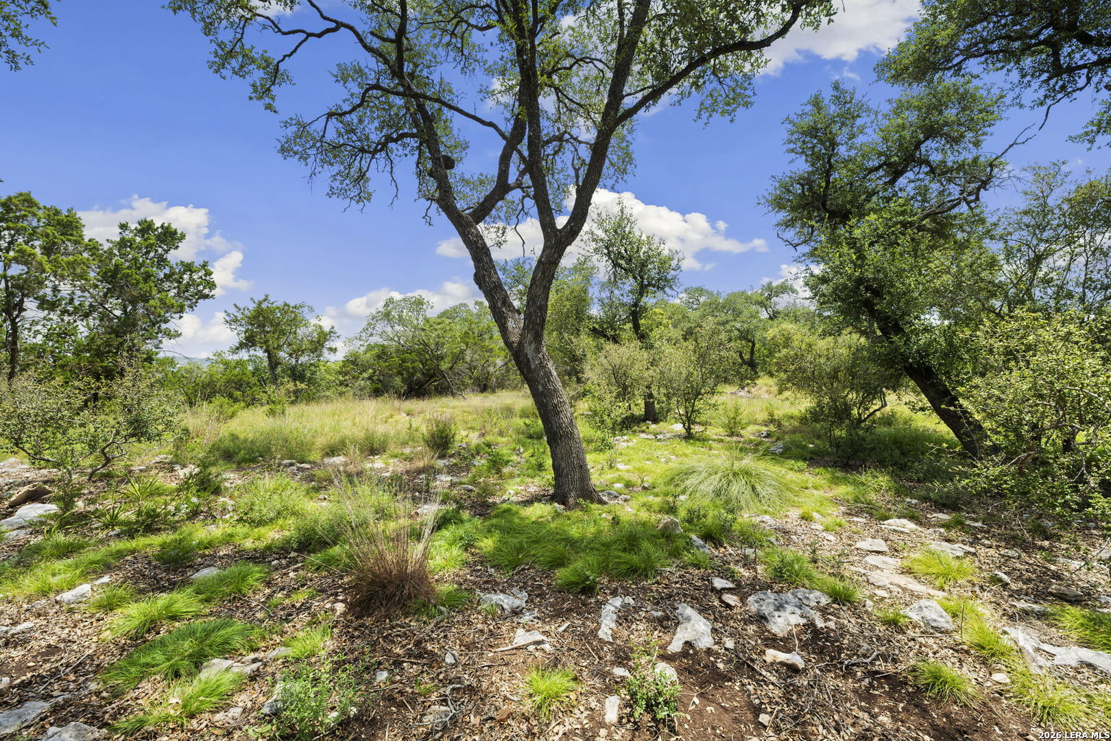 1772 Demi John Bend Canyon Lake TX 78133