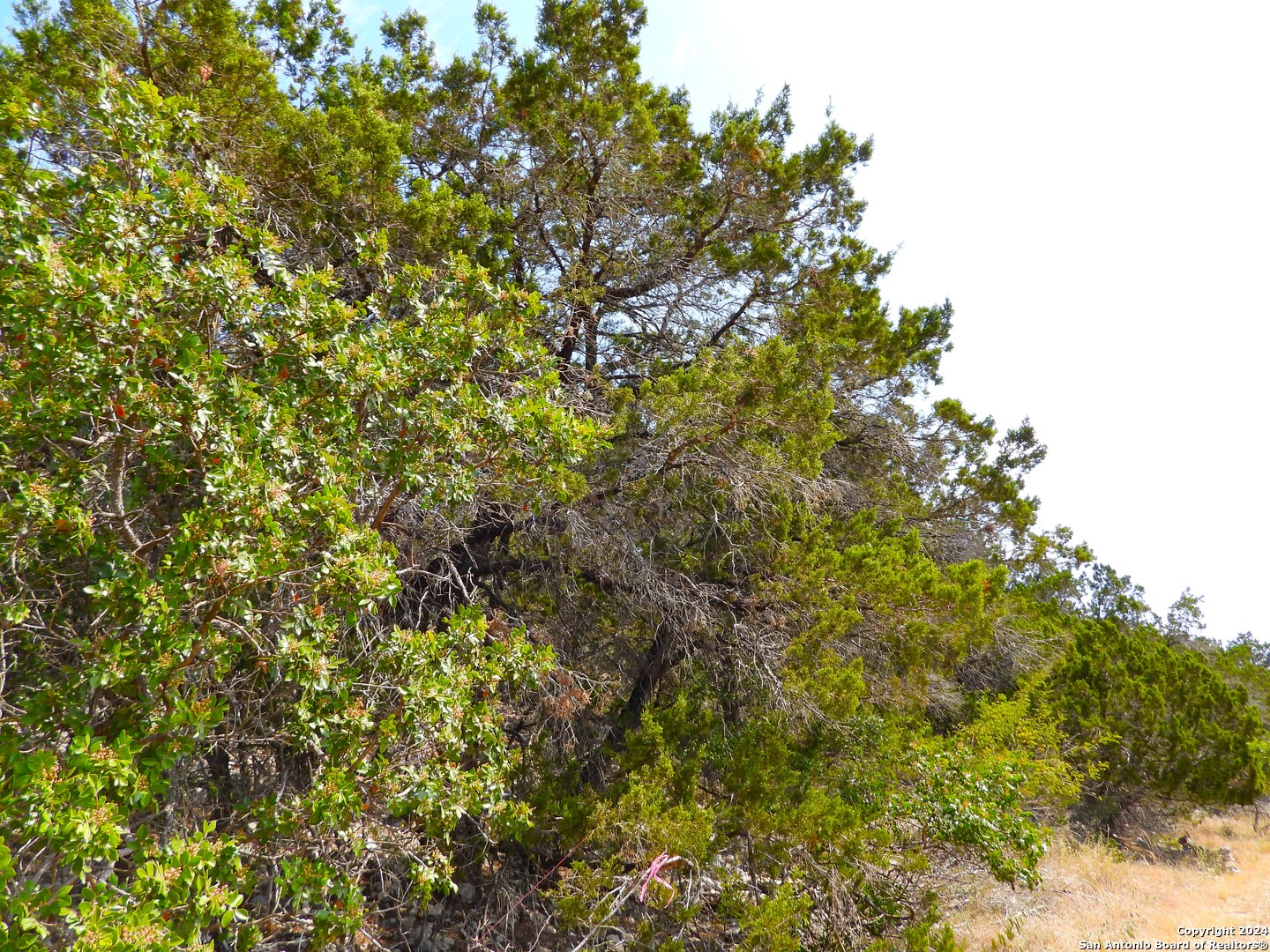 Tbd Skyline Trail Lakehills TX 78063