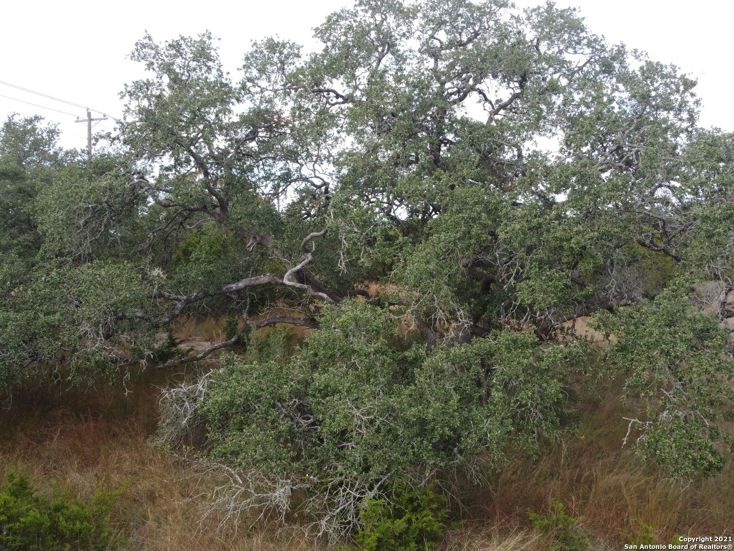 558 Mystic Breeze Spring Branch TX 78070