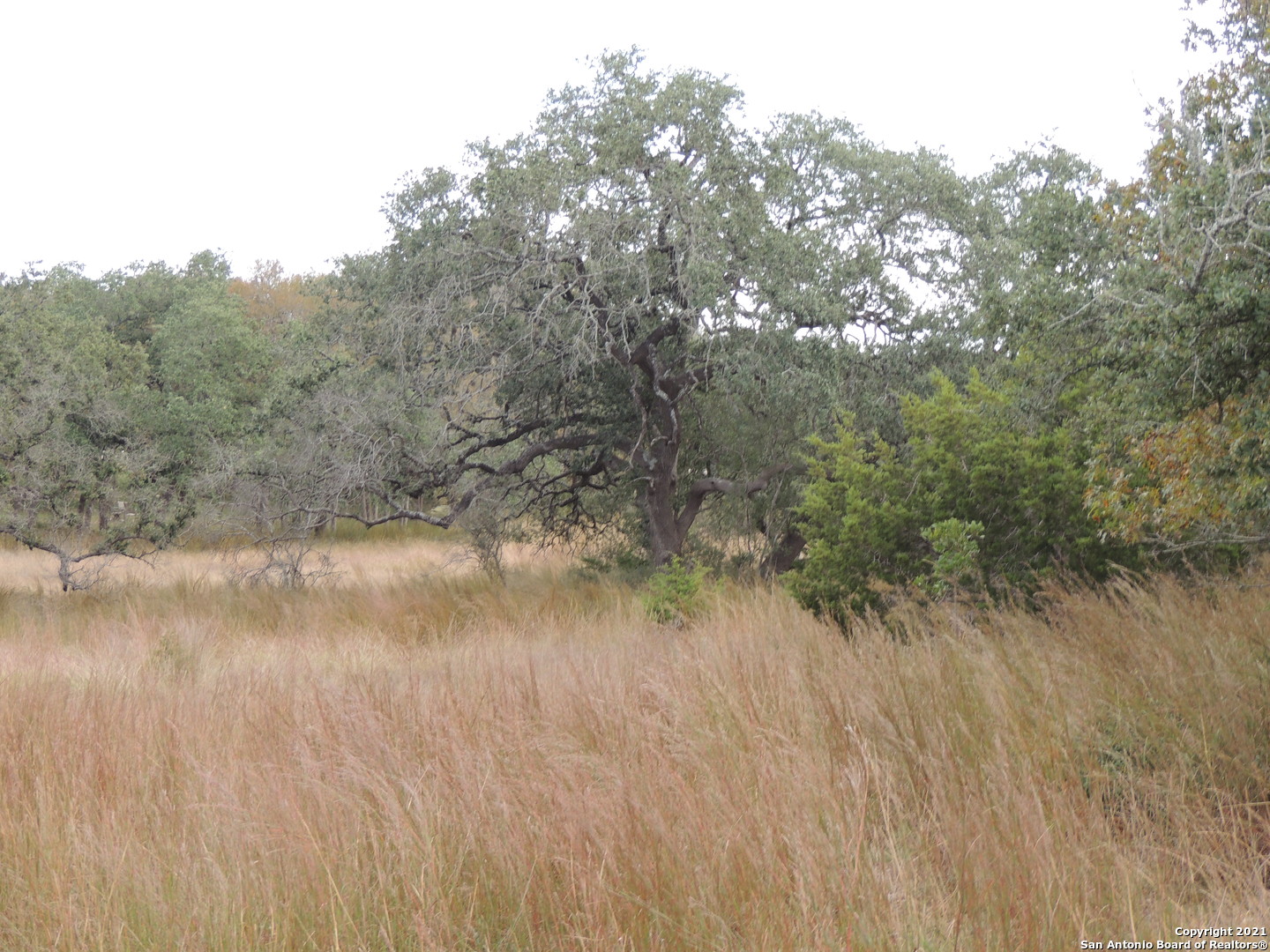558 Mystic Breeze Spring Branch TX 78070