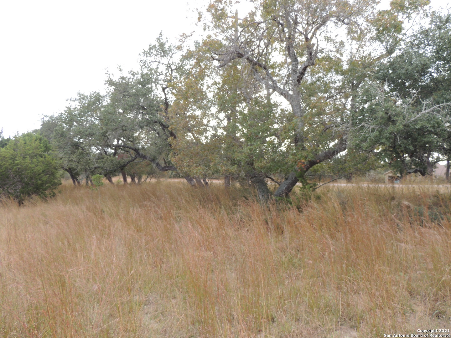 558 Mystic Breeze Spring Branch TX 78070