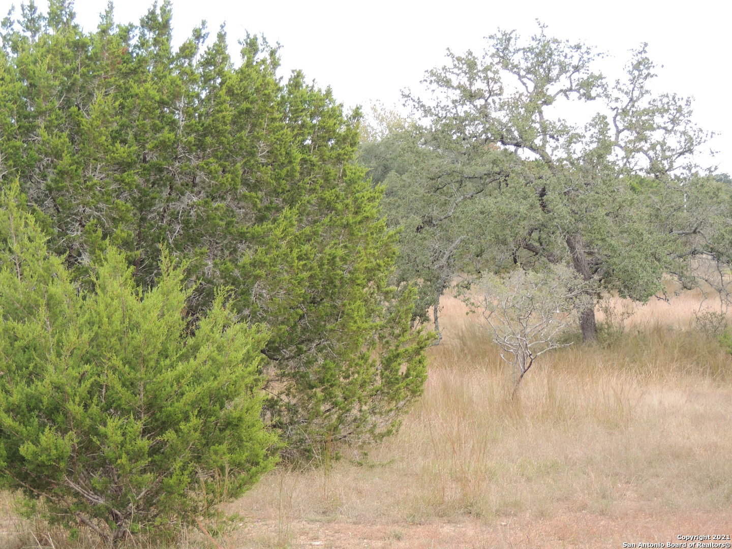 558 Mystic Breeze Spring Branch TX 78070