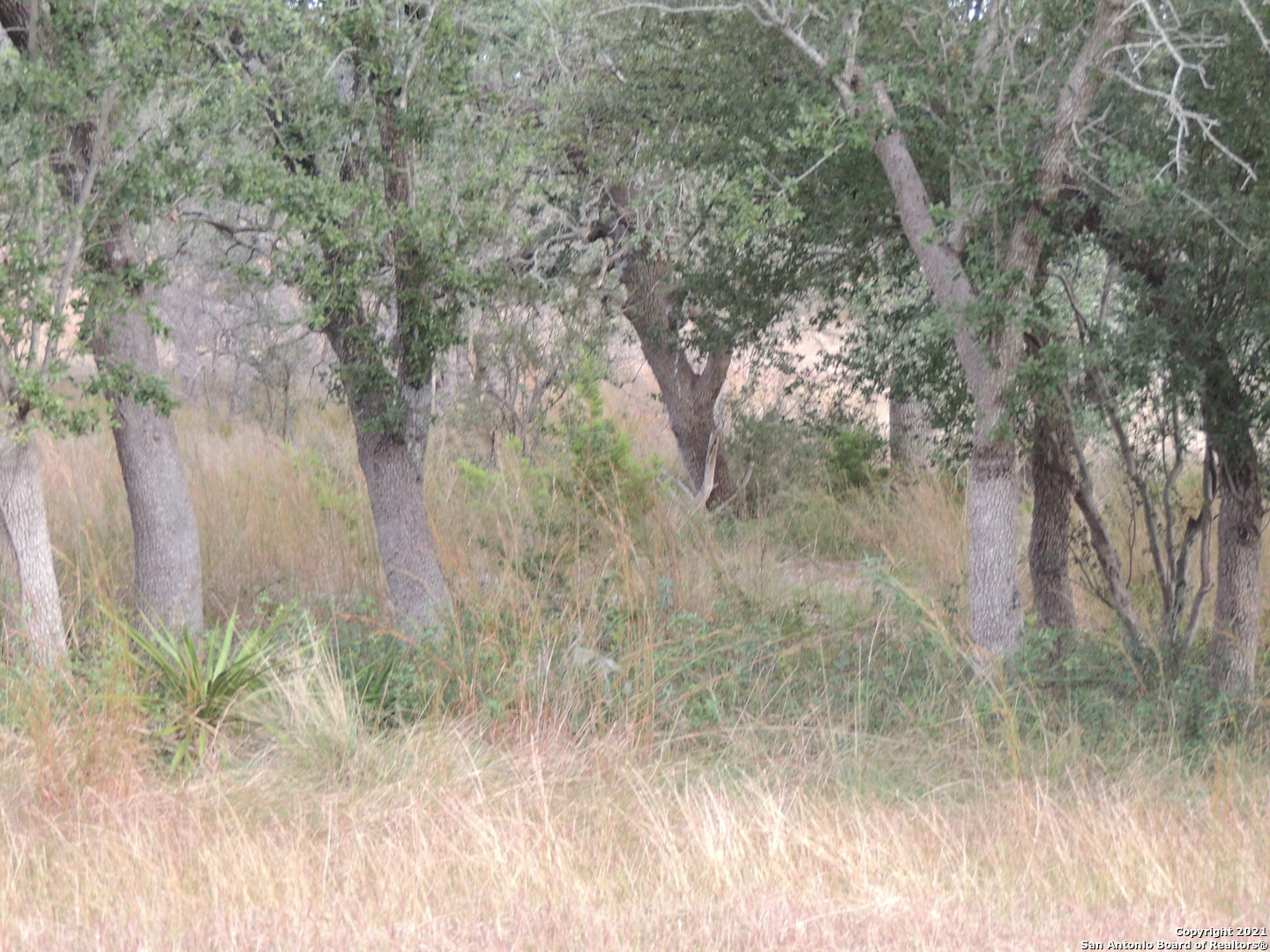 558 Mystic Breeze Spring Branch TX 78070
