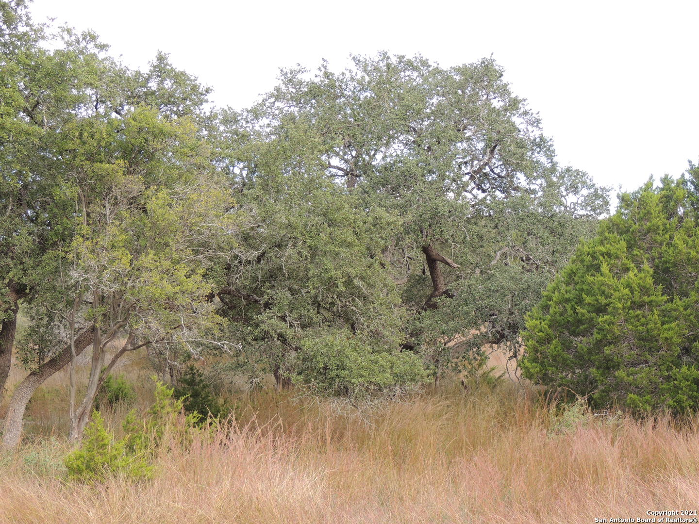 558 Mystic Breeze Spring Branch TX 78070