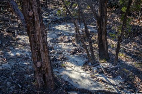837 Crystal Peak Fischer TX 78623