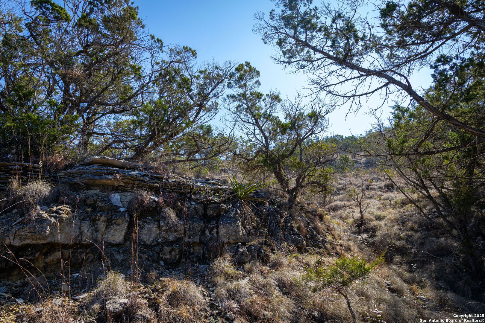 837 Crystal Peak Fischer TX 78623
