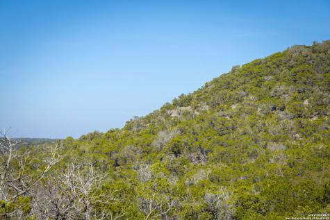837 Crystal Peak Fischer TX 78623