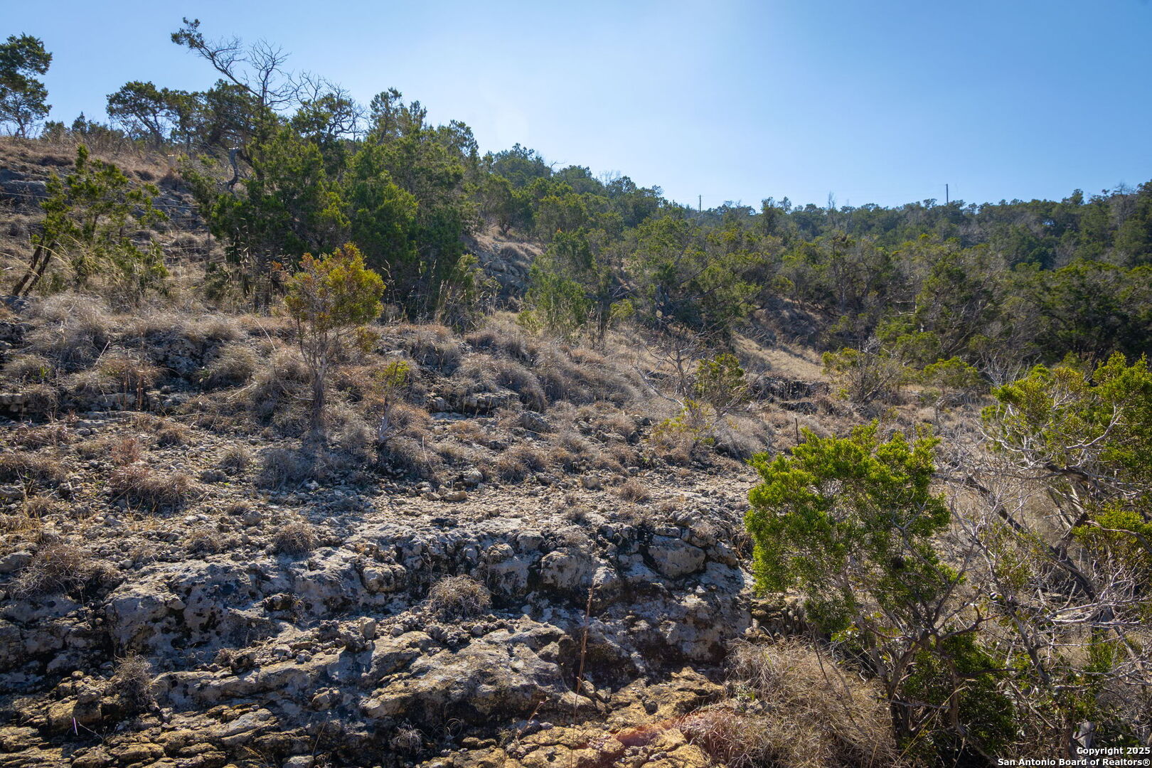 837 Crystal Peak Fischer TX 78623