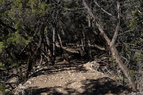 837 Crystal Peak Fischer TX 78623
