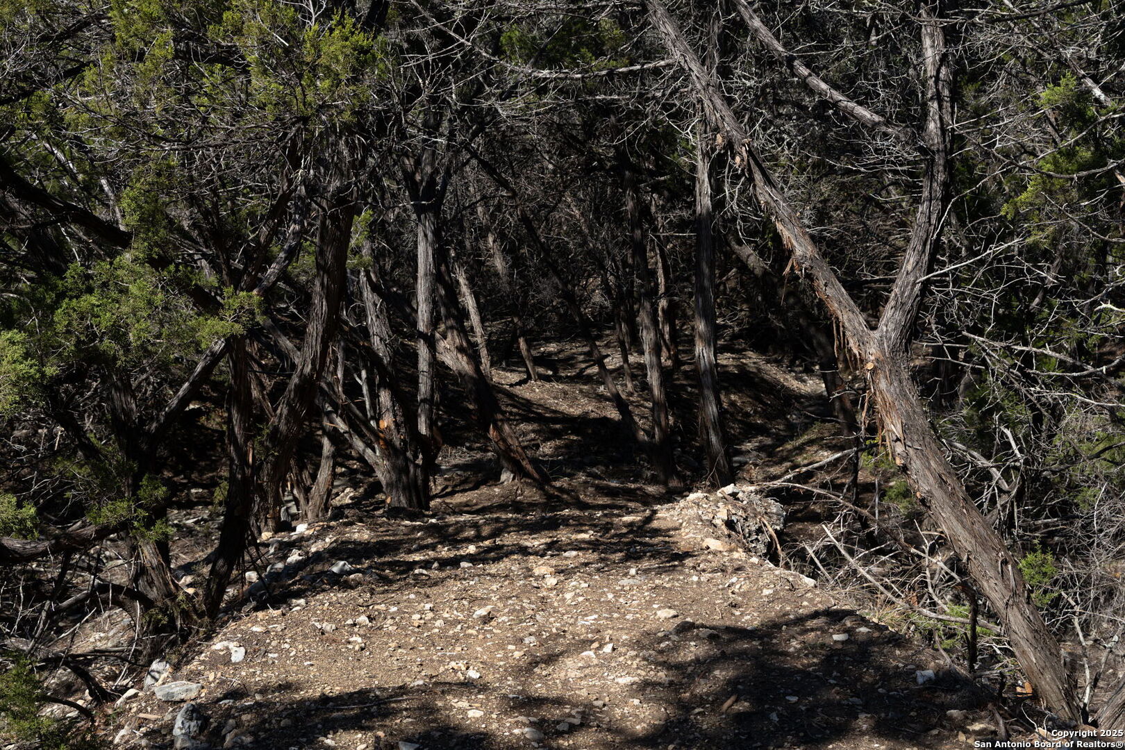 837 Crystal Peak Fischer TX 78623