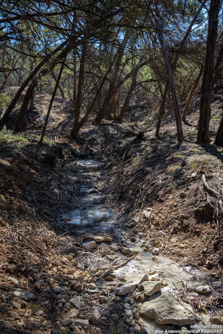 837 Crystal Peak Fischer TX 78623