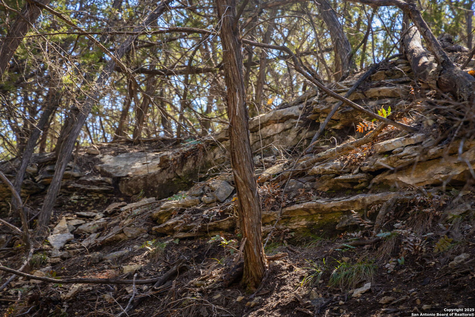 837 Crystal Peak Fischer TX 78623