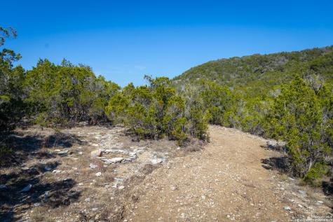 837 Crystal Peak Fischer TX 78623