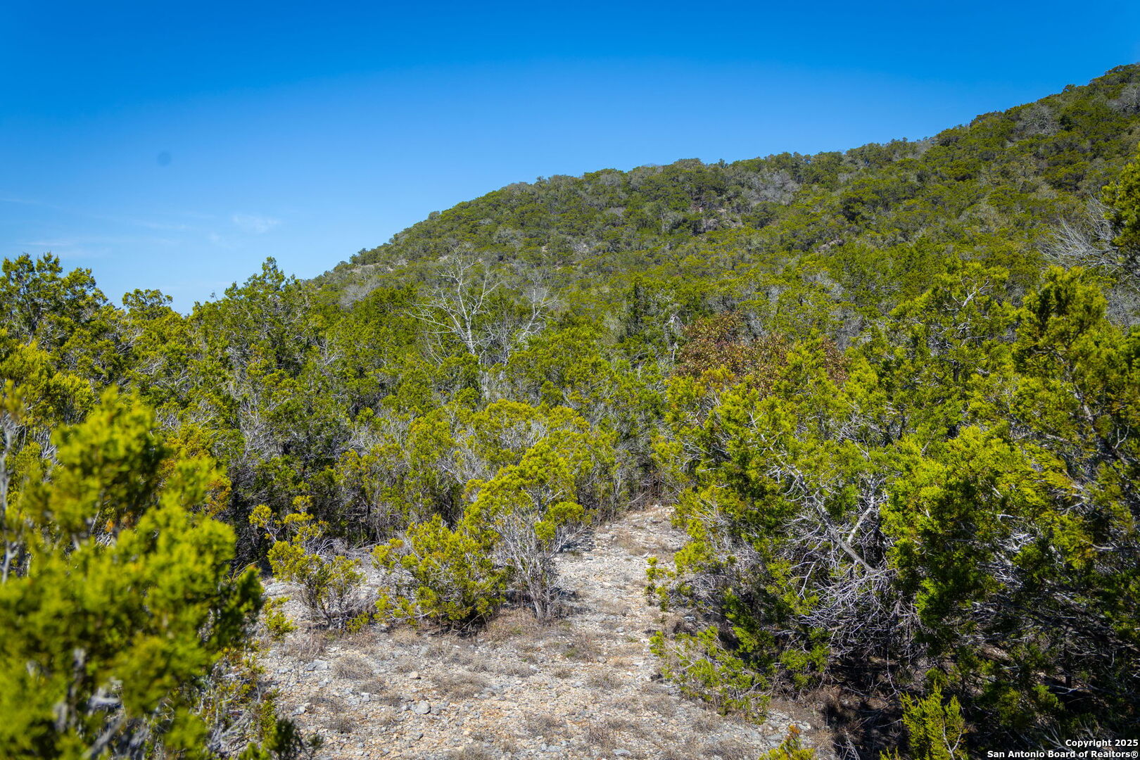 837 Crystal Peak Fischer TX 78623
