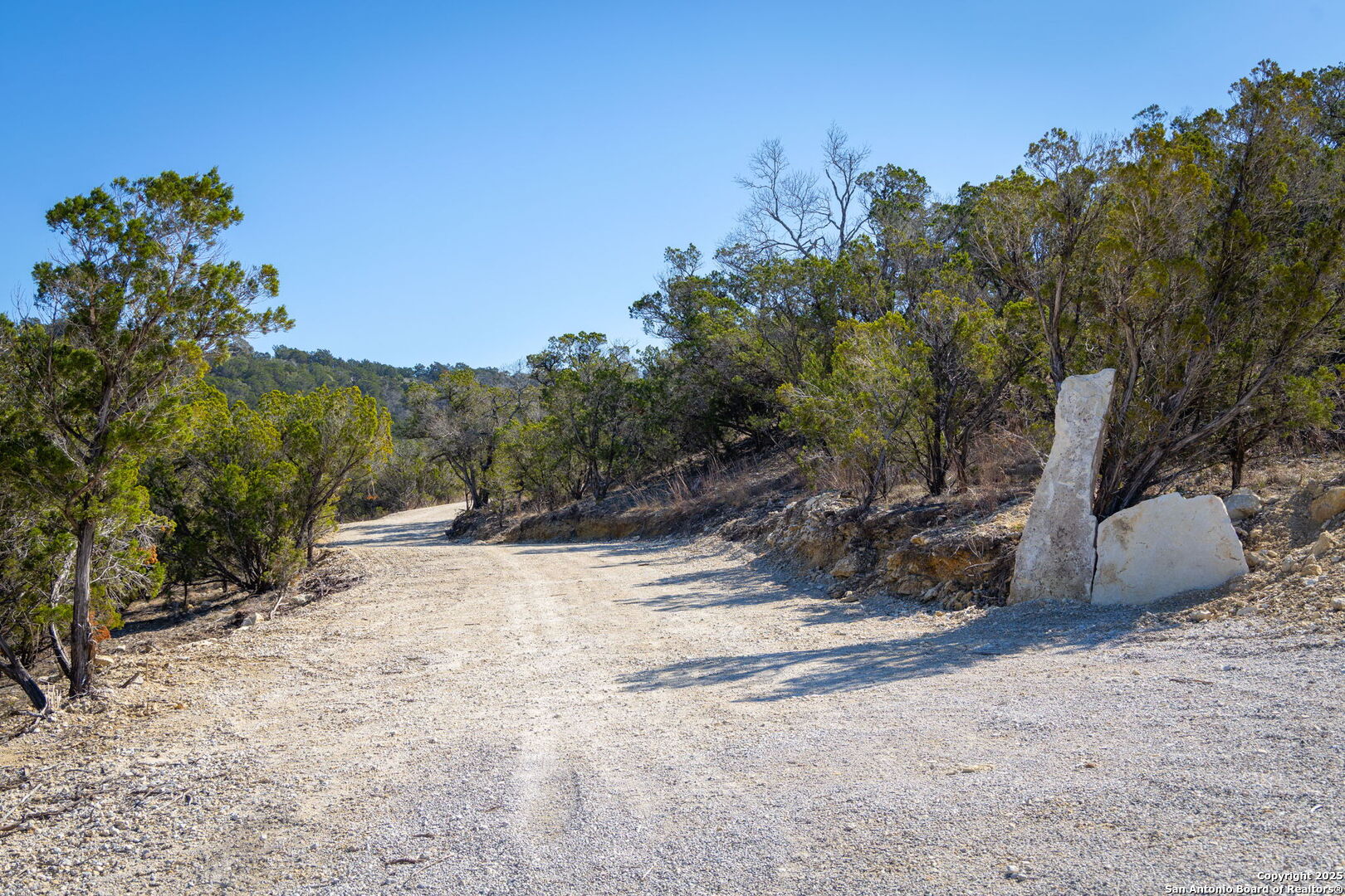 837 Crystal Peak Fischer TX 78623