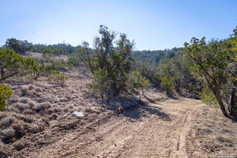 837 Crystal Peak Fischer TX 78623
