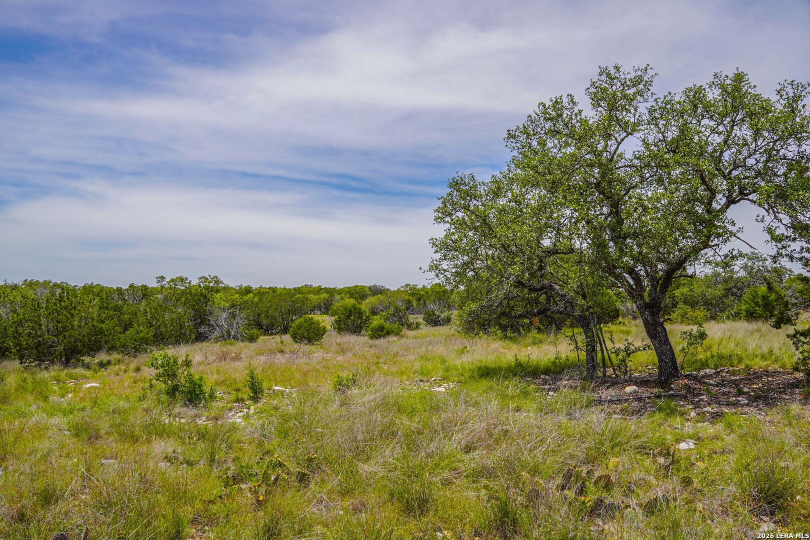 Tbd Cr 140 Junction TX 76849