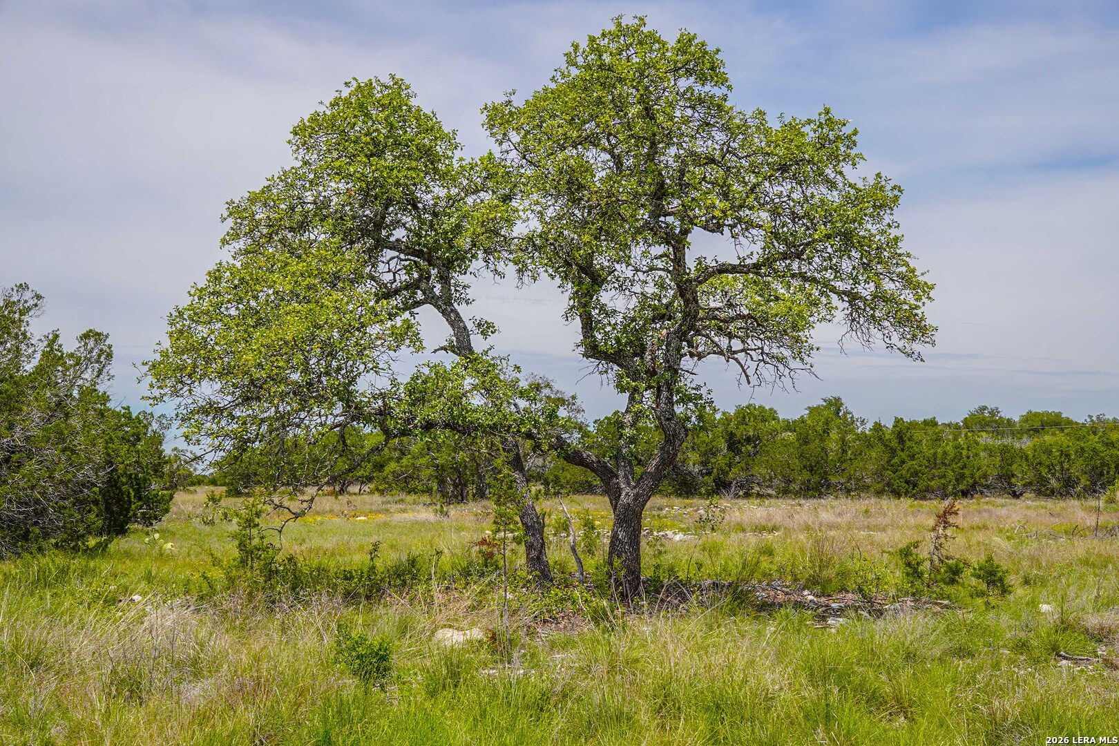Tbd Cr 140 Junction TX 76849