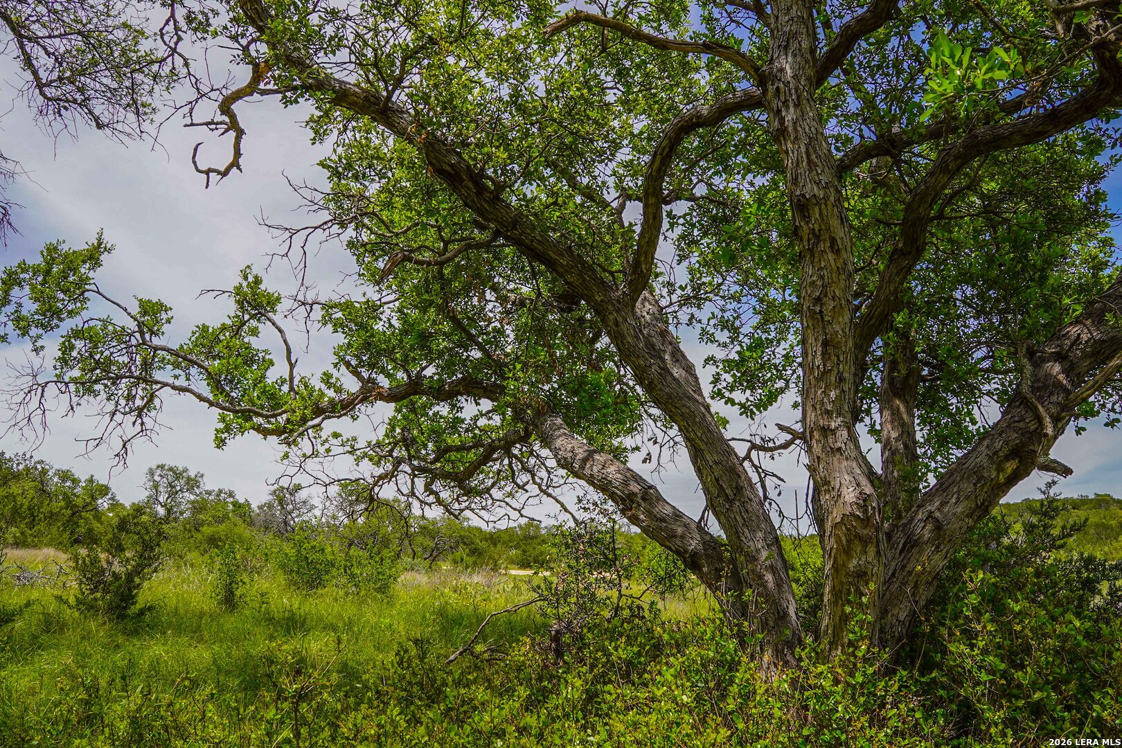 Tbd Cr 140 Junction TX 76849