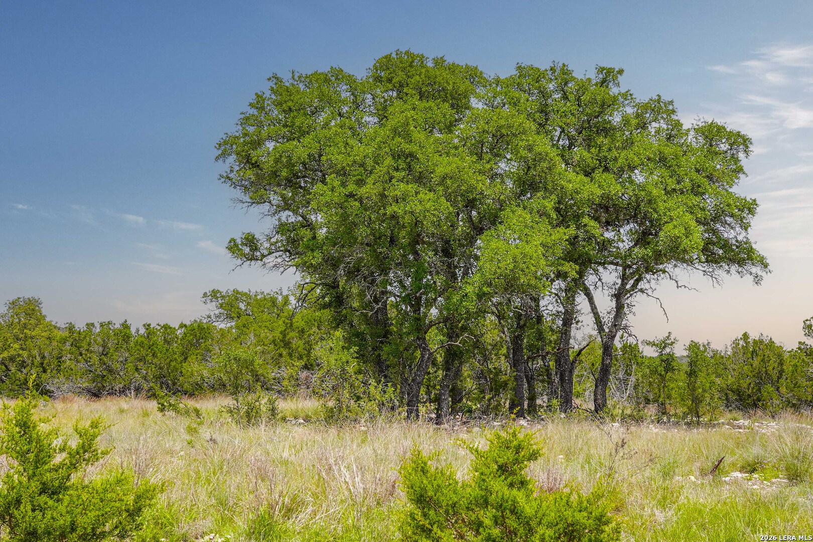 Tbd Cr 140 Junction TX 76849