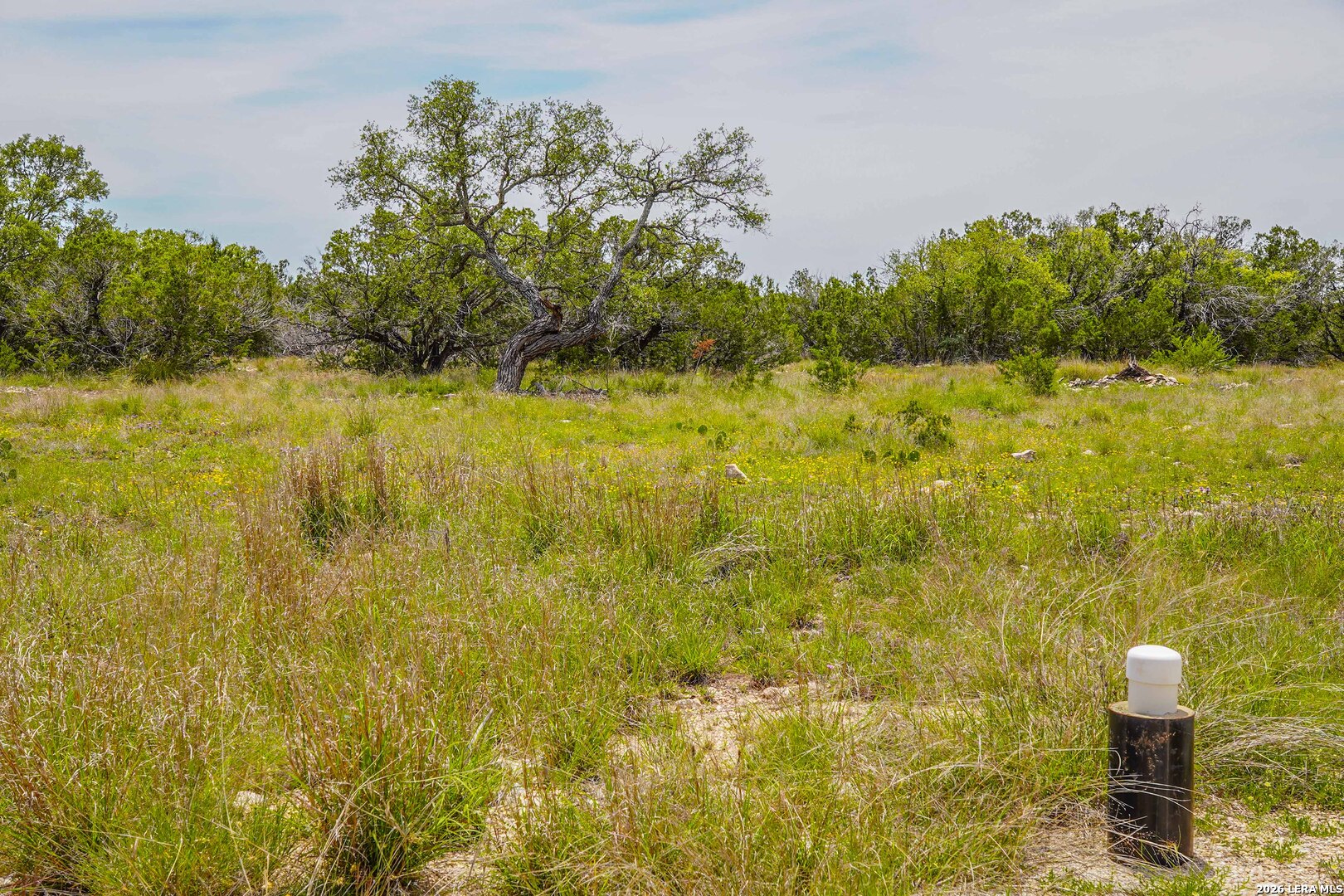 Tbd Cr 140 Junction TX 76849