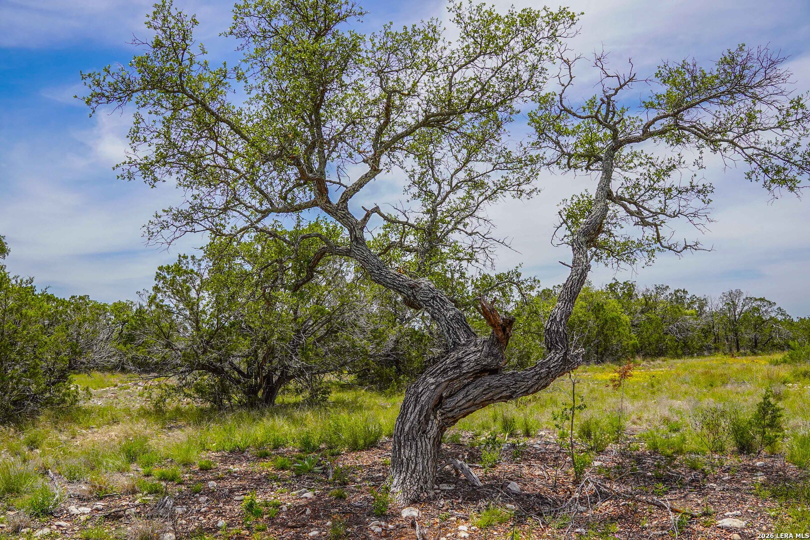 Tbd Cr 140 Junction TX 76849