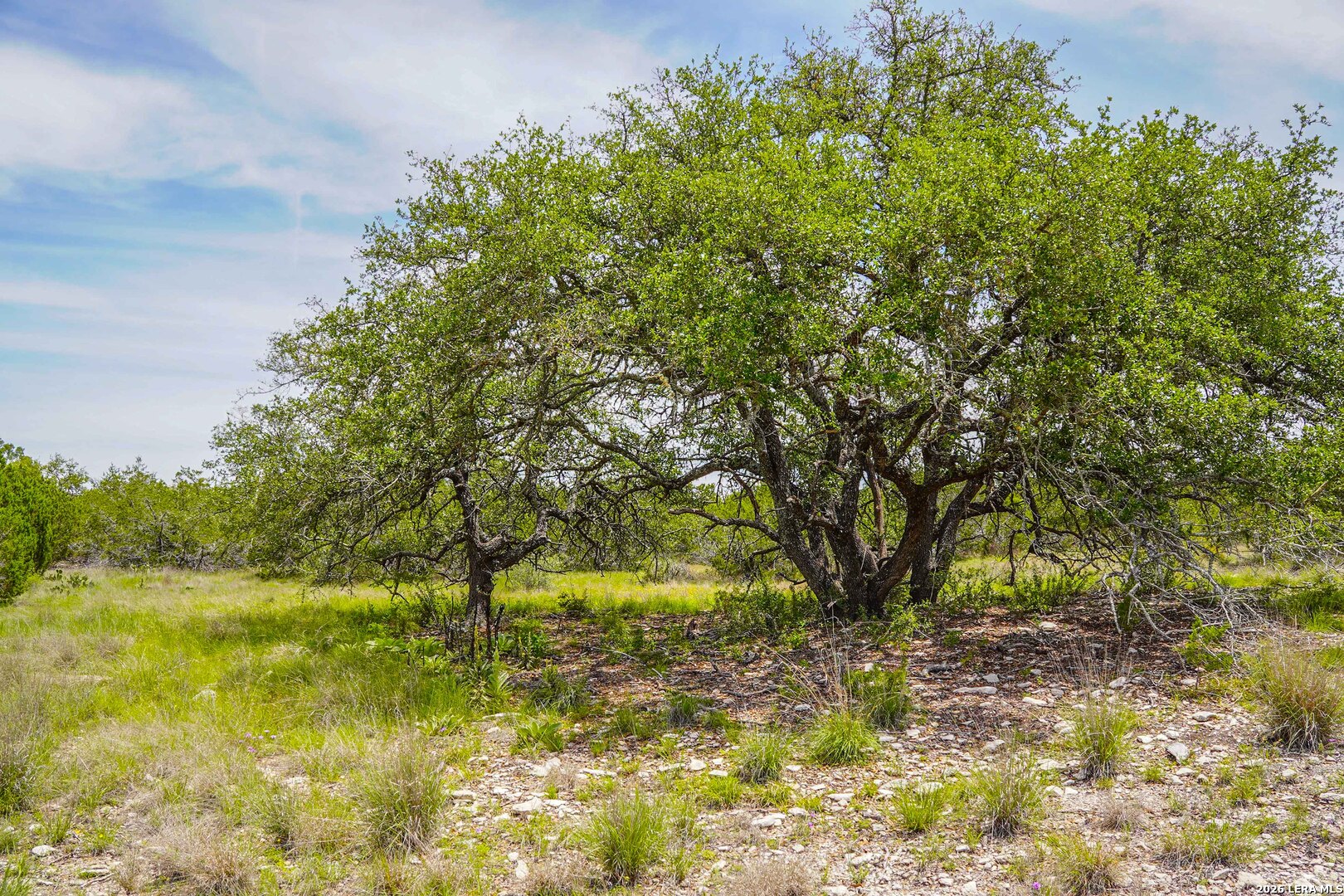 Tbd Cr 140 Junction TX 76849