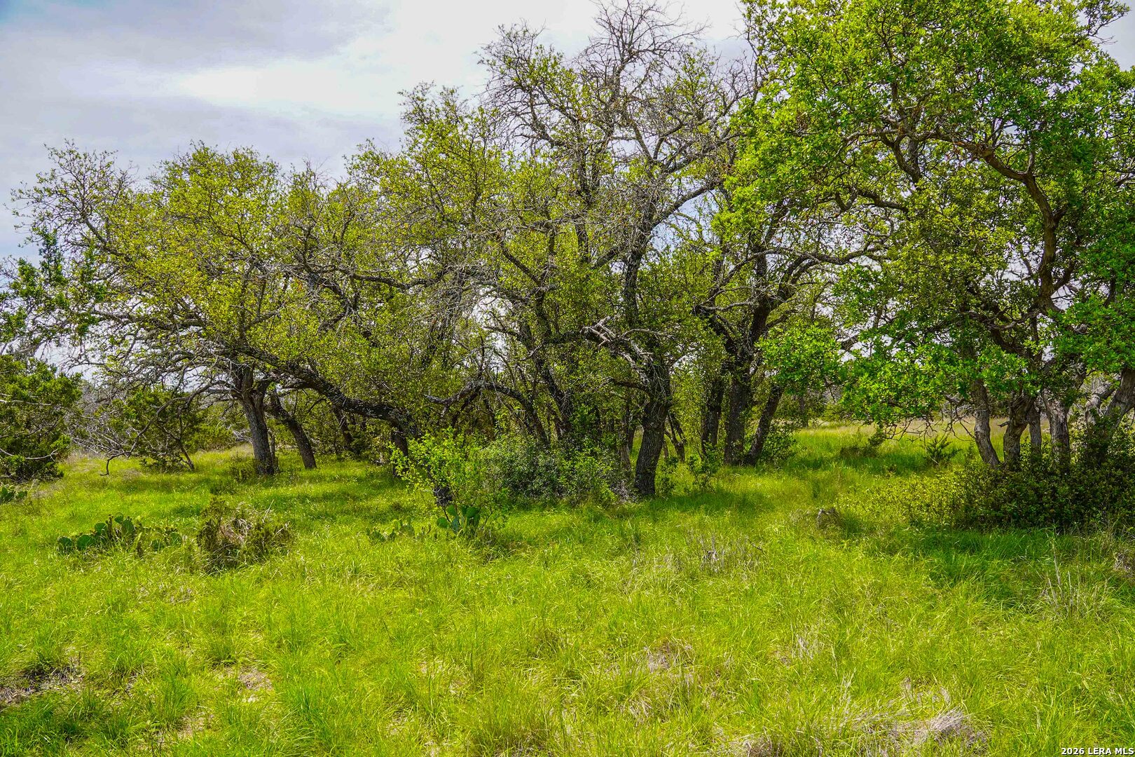 Tbd Cr 140 Junction TX 76849