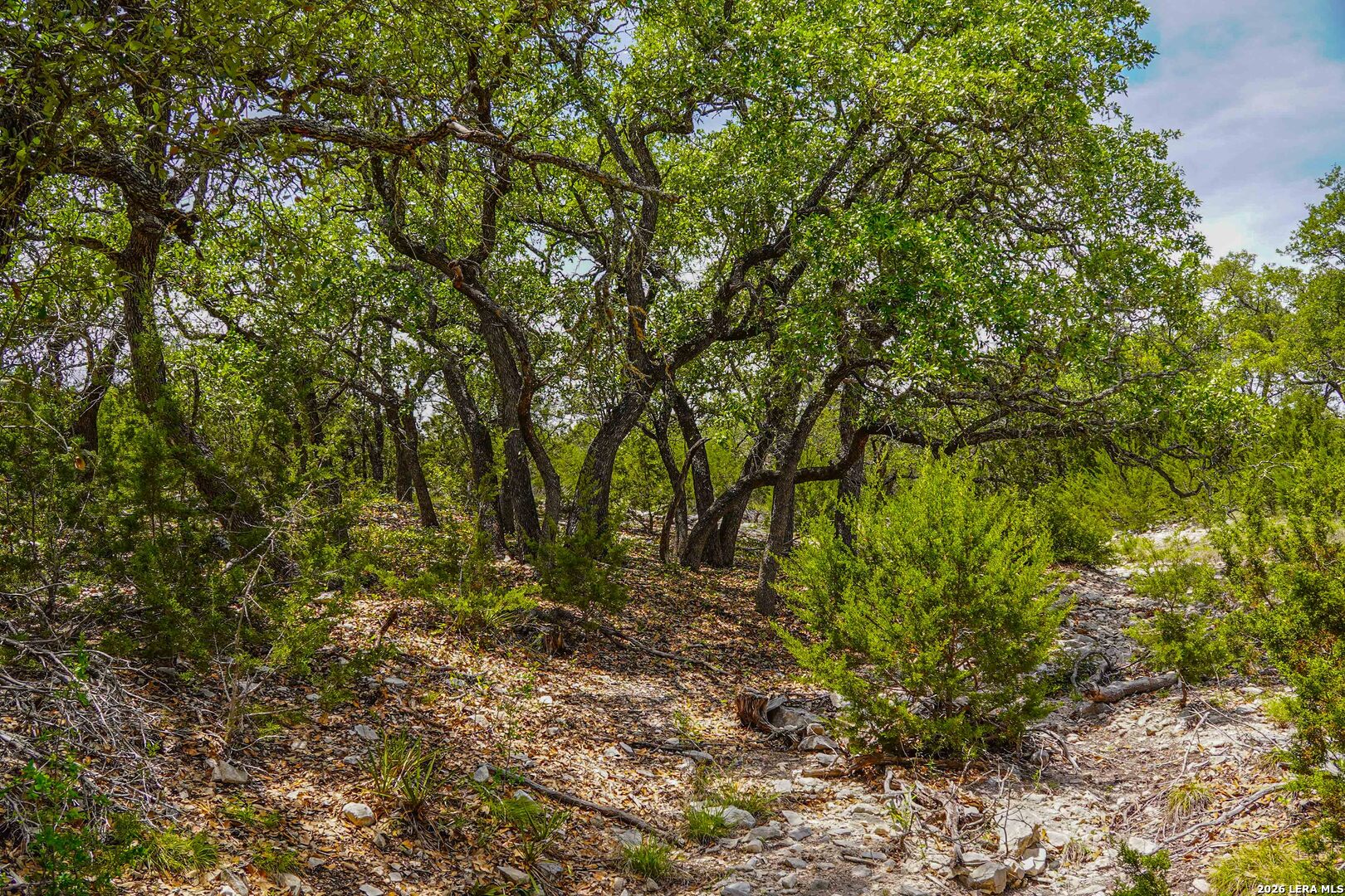 Tbd Cr 140 Junction TX 76849