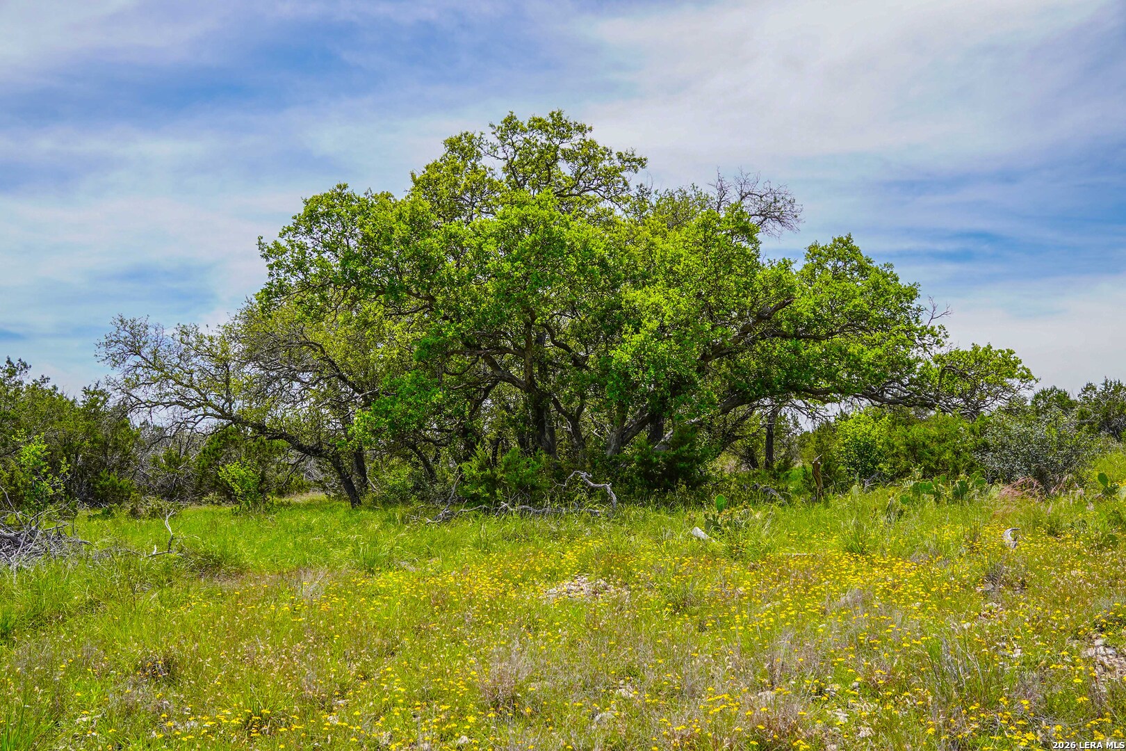 Tbd Cr 140 Junction TX 76849