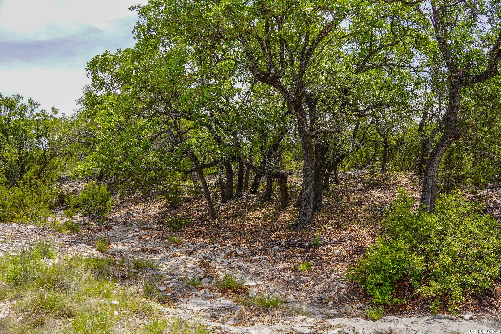 Tbd Cr 140 Junction TX 76849