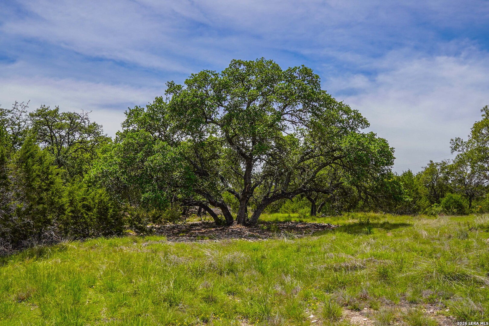 Tbd Cr 140 Junction TX 76849