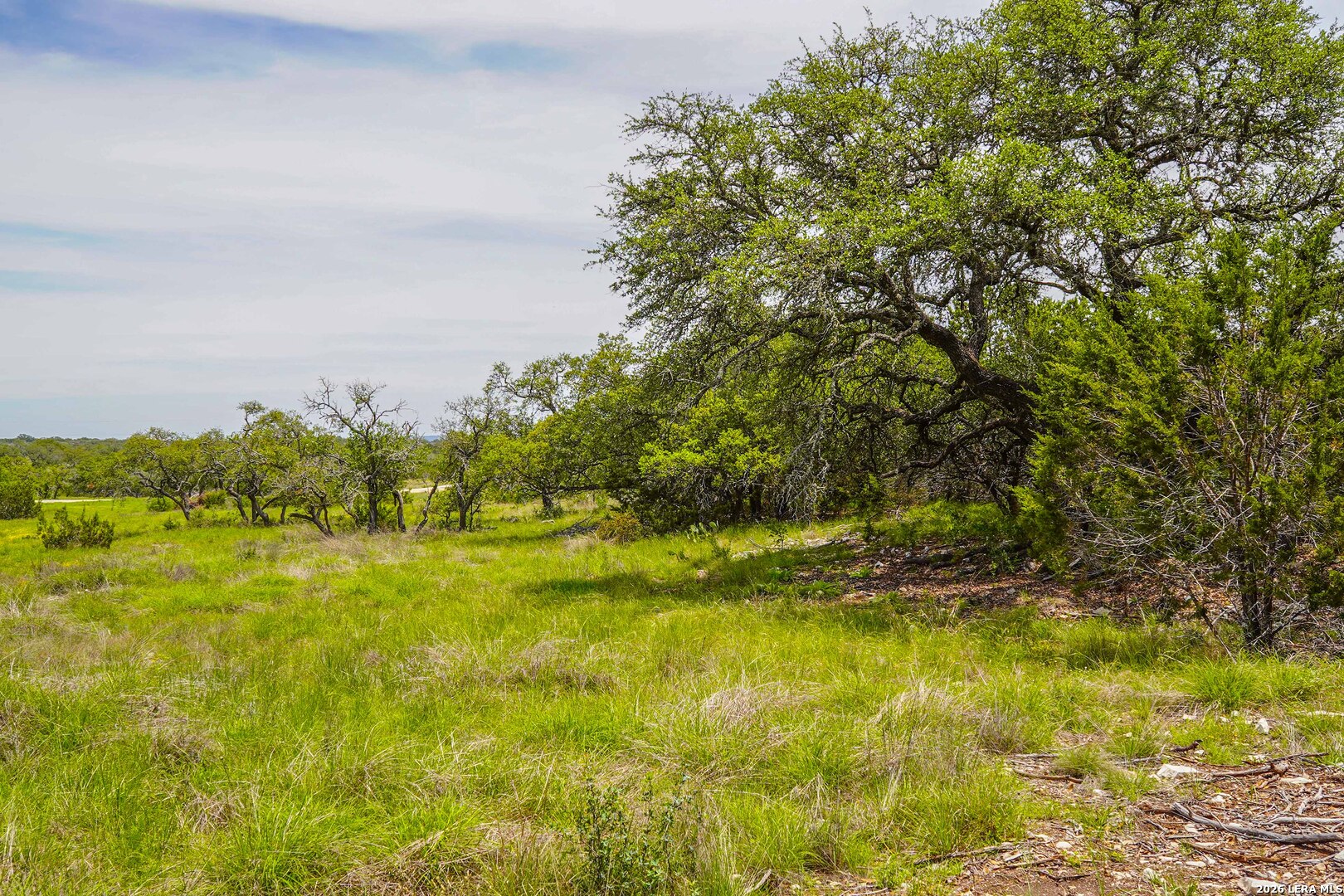 Tbd Cr 140 Junction TX 76849