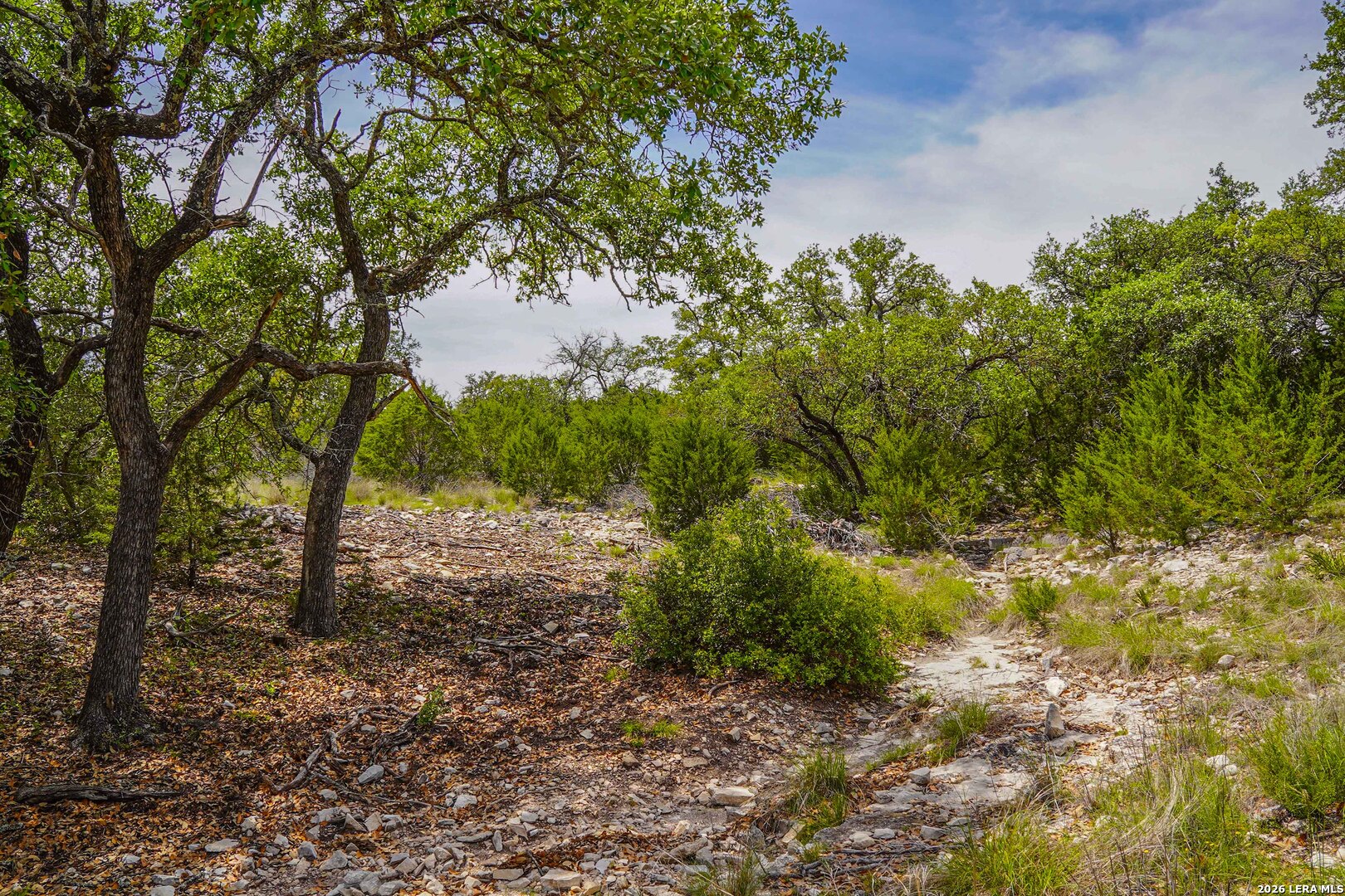 Tbd Cr 140 Junction TX 76849