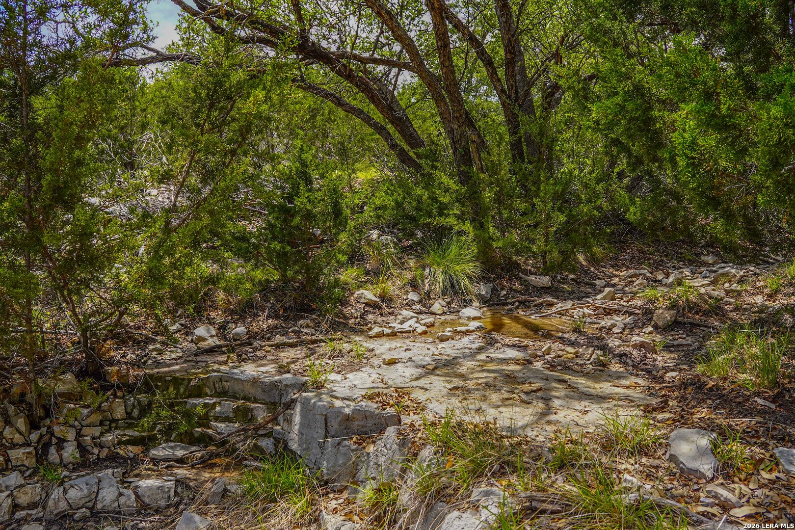 Tbd Cr 140 Junction TX 76849