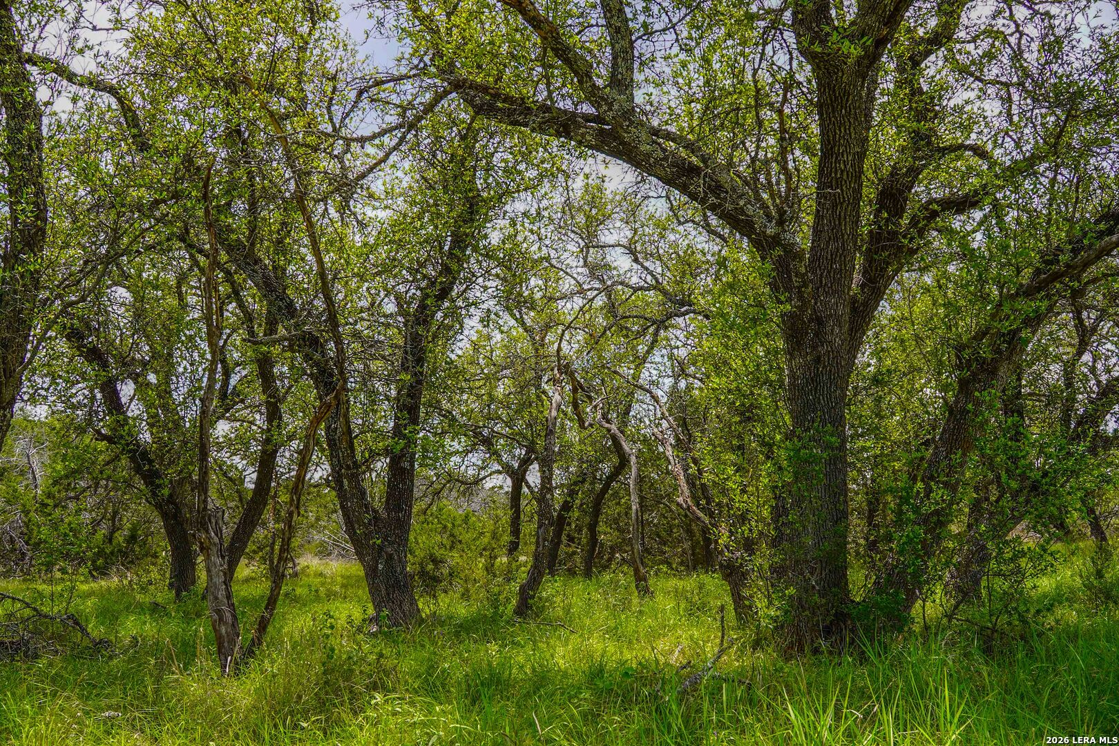 Tbd Cr 140 Junction TX 76849