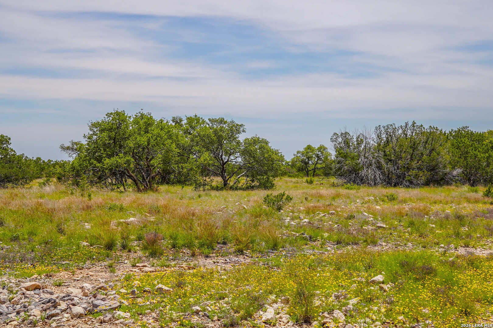 Tbd Cr 140 Junction TX 76849