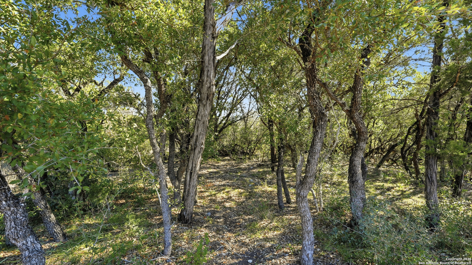 199 Private Road 1730 Mico TX 78056