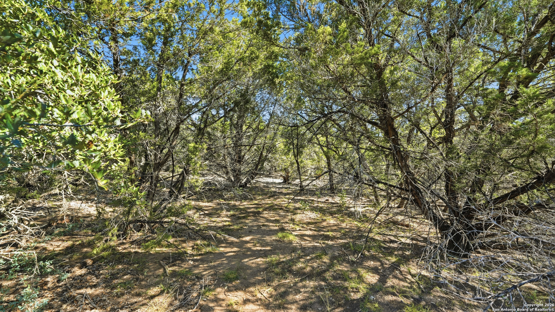 199 Private Road 1730 Mico TX 78056