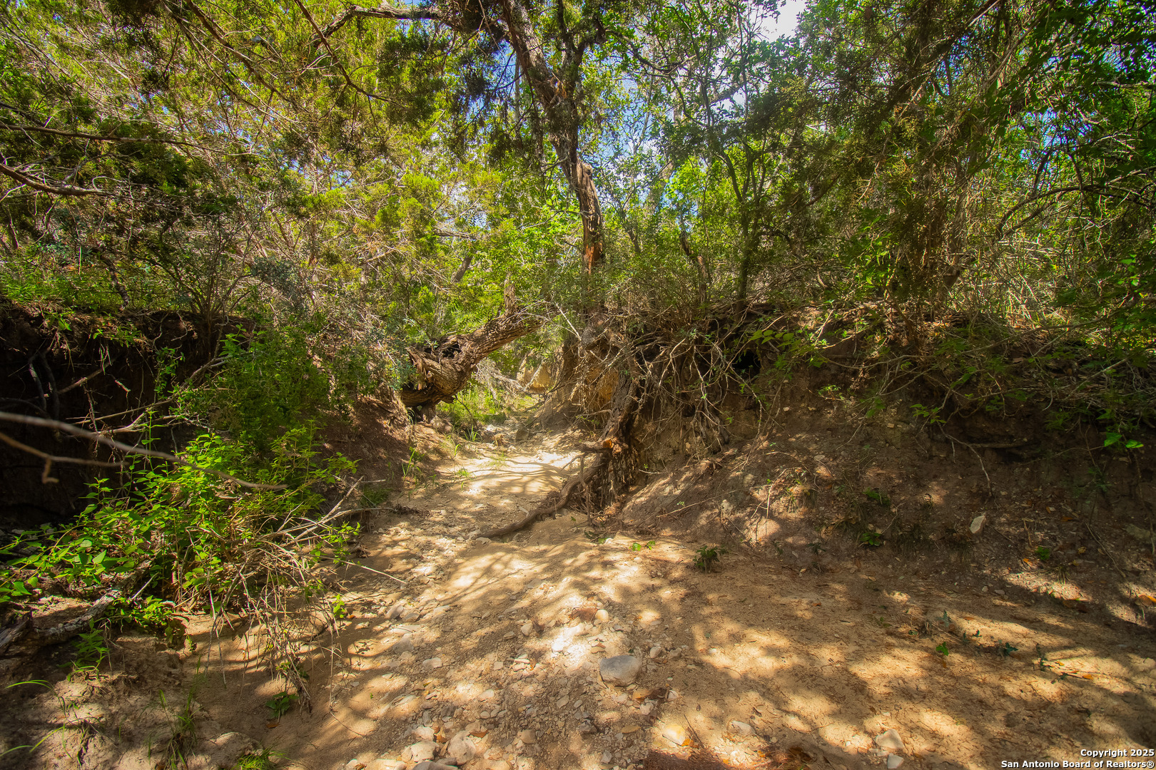 000 Wallace Creek Road Medina TX 78055