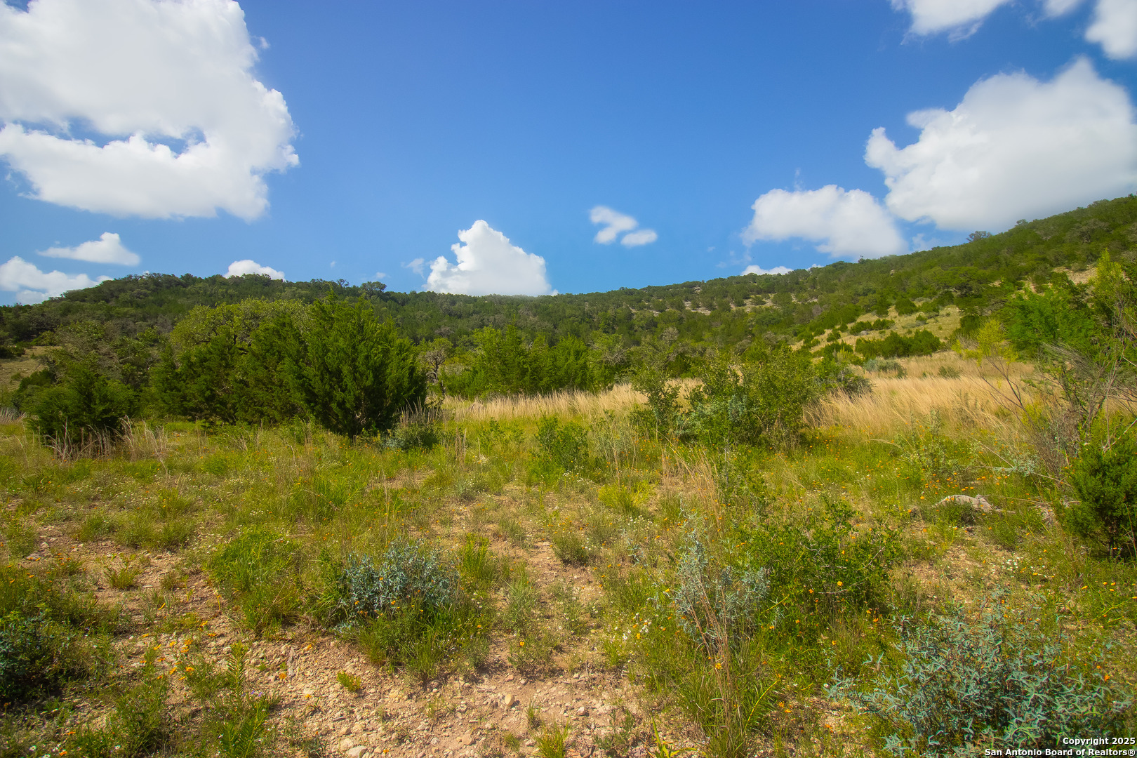 000 Wallace Creek Road Medina TX 78055