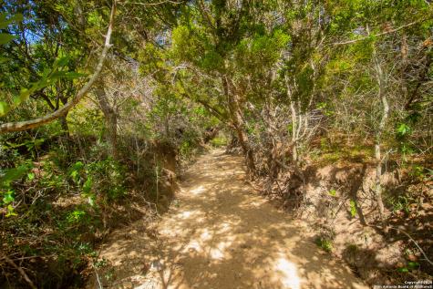 000 Wallace Creek Road Medina TX 78055