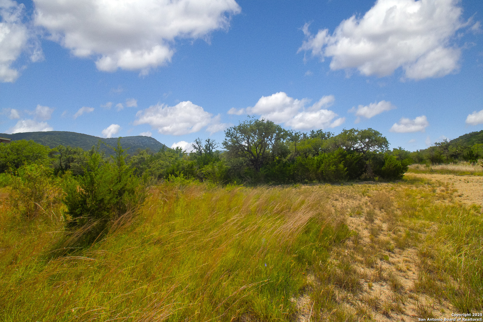 000 Wallace Creek Road Medina TX 78055