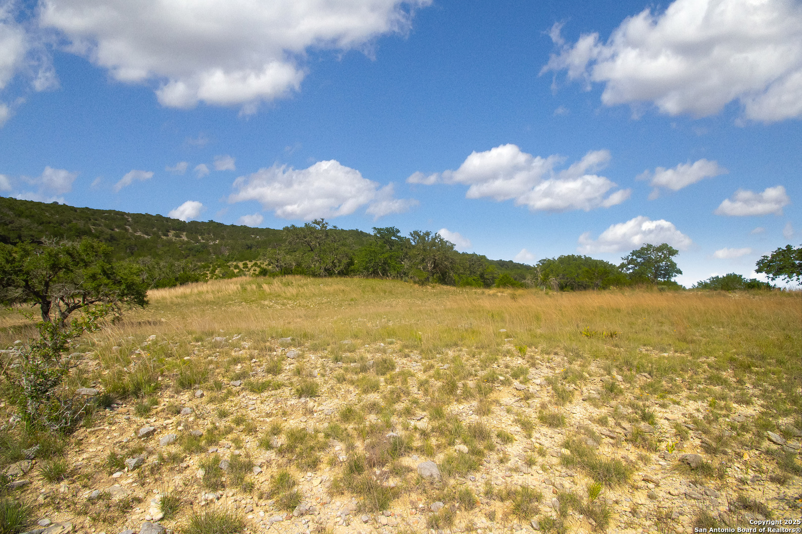 000 Wallace Creek Road Medina TX 78055
