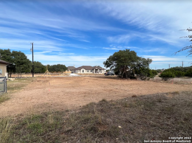 106 Otto Lange Blanco TX 78606