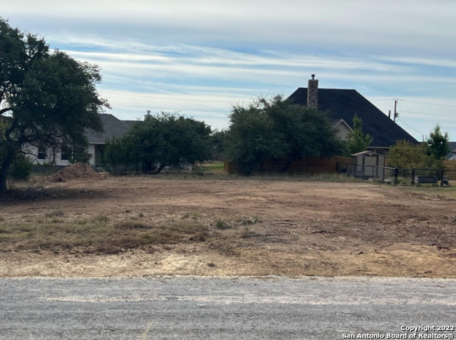 106 Otto Lange Blanco TX 78606