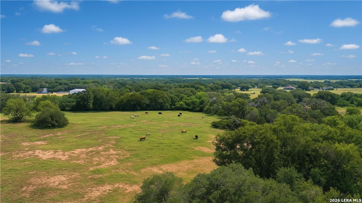 4425 E Us Highway 90 Seguin TX 78155