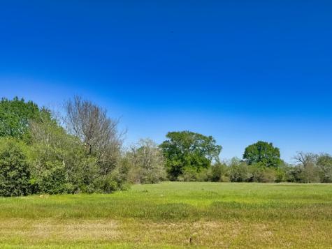 10246 Panther Creek Drive Iola TX 77861